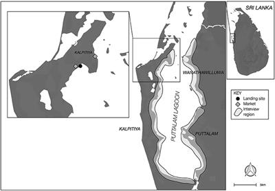 Conservation Concerns of Small-Scale Fisheries: By-Catch Impacts of a Shrimp and Finfish Fishery in a Sri Lankan Lagoon